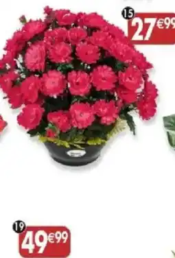 Maximo COLONA Bouquet de chrysanthèmes offre