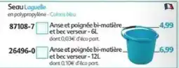 Maximo Seau Loguelle offre