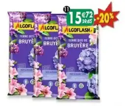 Maximo ALGOFLASH Terre dite de Bruyère offre
