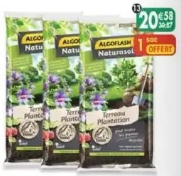 Maximo ALGOFLASH Terreau Plantation offre