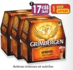 Maximo GRIMBERGEN AMBRÉE offre