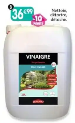 Maximo VINAIGRE offre