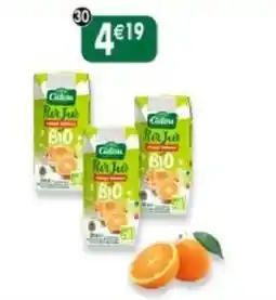 Maximo Cidou Per Ju offre