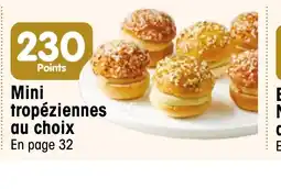 Croque Gel Mini tropéziennes offre