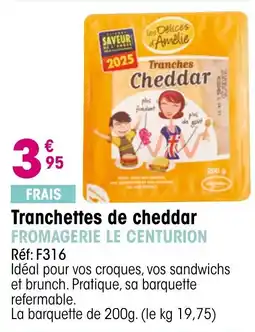 Croque Gel les Délices d'Amélie Tranches Cheddar offre