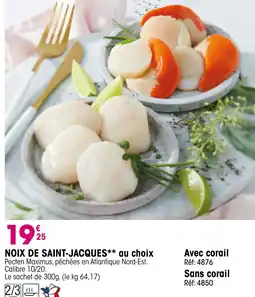 Croque Gel NOIX DE SAINT-JACQUES** offre