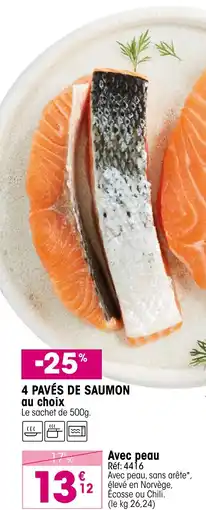 Croque Gel 4 PAVÉS DE SAUMON offre