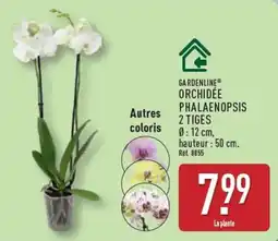 ALDI GARDENLINE ORCHIDÉE PHALAENOPSIS offre
