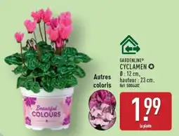 ALDI GARDENLINE CYCLAMEN offre