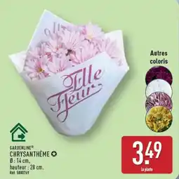ALDI GARDENLINE CHRYSANTHÈME offre