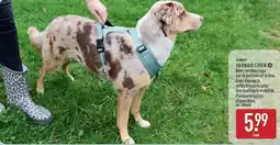 ALDI ROMÉO HARN AIS CHIEN offre