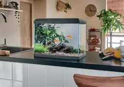 Jardiland Pure family aquarium fresh 40 led pure family offre