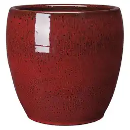 Jardiland Pot azahar offre