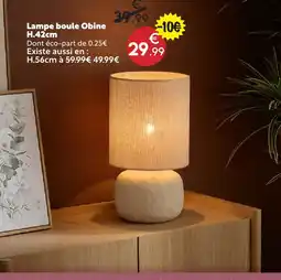 Maxi Bazar Lampe boule obine offre