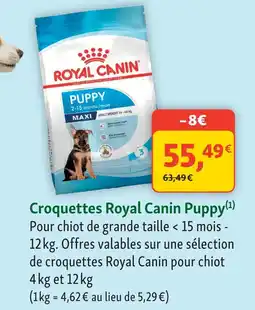 Maxi Zoo Royal canin croquettes puppy offre