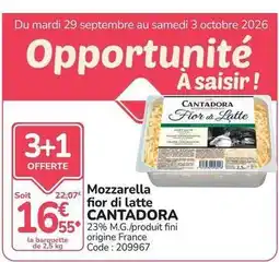 Promocash Cantadora - mozzarella fior di latte offre