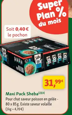 Maxi Zoo Maxi pack sheba offre