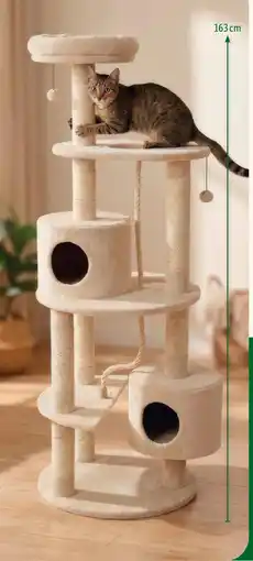 Maxi Zoo Anione arbre à chat zana offre