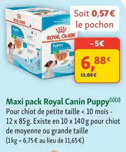 Maxi Zoo Royal canin maxi pack puppy offre