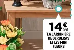 Centrakor La jardinière de gerberas et lys mini fleurs offre