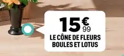 Centrakor Lotus - le cône de fleurs boules et offre