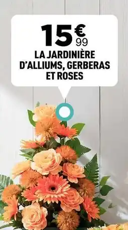 Centrakor La jardinière d'alliums, gerberas et roses offre