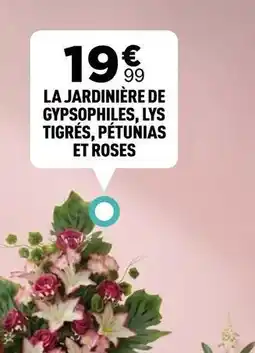 Centrakor La jardinière de gypsophiles, lys tigrés, pétunias et roses offre