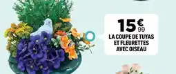 Centrakor Coupe de tuyas et fleurettes avec oiseau offre