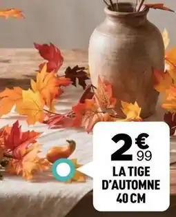 Centrakor La tige d'automne offre