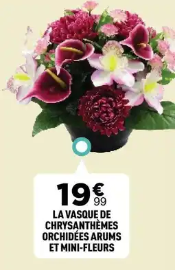 Centrakor Chrysanthèmes orchidées arums et mini-fleurs offre
