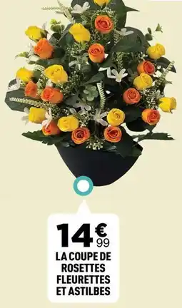 Centrakor La coupe de rosettes fleurettes et astibles offre