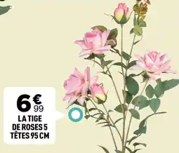 Centrakor La tige de roses 5 têtes 95 cm offre