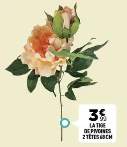 Centrakor La tige de pivoines 2 têtes 68 cm offre