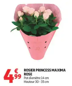 Auchan MAXIMA ROSIER PRINCESS offre