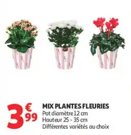 Auchan MIX PLANTES FLEURIES offre