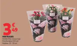 Auchan ROSES COLONA offre