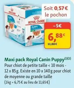 Maxi Zoo Royal canin - maxi pack offre
