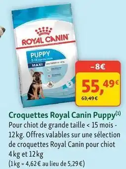 Maxi Zoo Royal canin - croquettes puppy offre