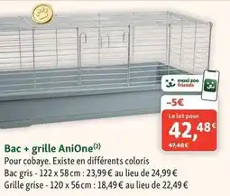 Maxi Zoo Anione - bac + grille offre