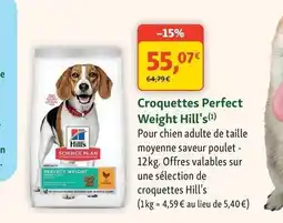 Maxi Zoo Hill's - croquettes perfect wight offre