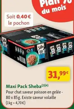 Maxi Zoo Sheba - maxi pack offre