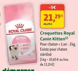Maxi Zoo Royal canin - croquettes kitten offre