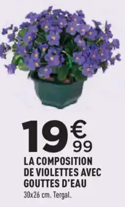 Centrakor LA COMPOSITION DE VIOLETTES AVEC GOUTTES D'EAU offre