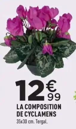 Centrakor LA COMPOSITION DE CYCLAMENS offre