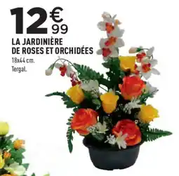 Centrakor Tergal LA JARDINIÈRE DE ROSES ET ORCHIDÉES offre