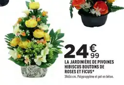 Centrakor LA JARDINIÈRE DE PIVOI NES HIBISCUS BOUTONS DE ROSES ET FICUS* offre