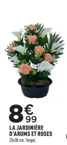 Centrakor Tergal LA JARDINIÈRE D'ARUMS ET ROSES offre