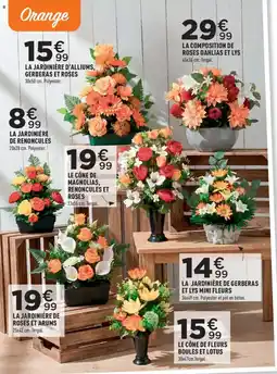 Centrakor Orange LA JARDINIÈRE D'ALLIUMS, GERBERAS ET ROSES offre
