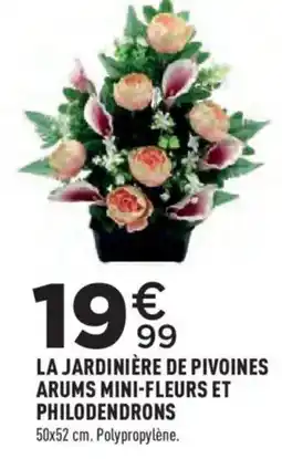 Centrakor LA JARDINIÈRE DE PIVOINES ARUMS MINI-FLEURS ET PHILODENDRONS offre