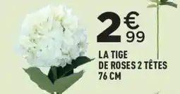 Centrakor LA TIGE DE ROSES 2 TÊTES offre